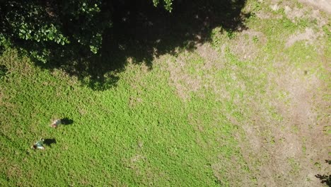 Vertikales-Video-Von-Spielenden-Kindern-Auf-Der-Wiese