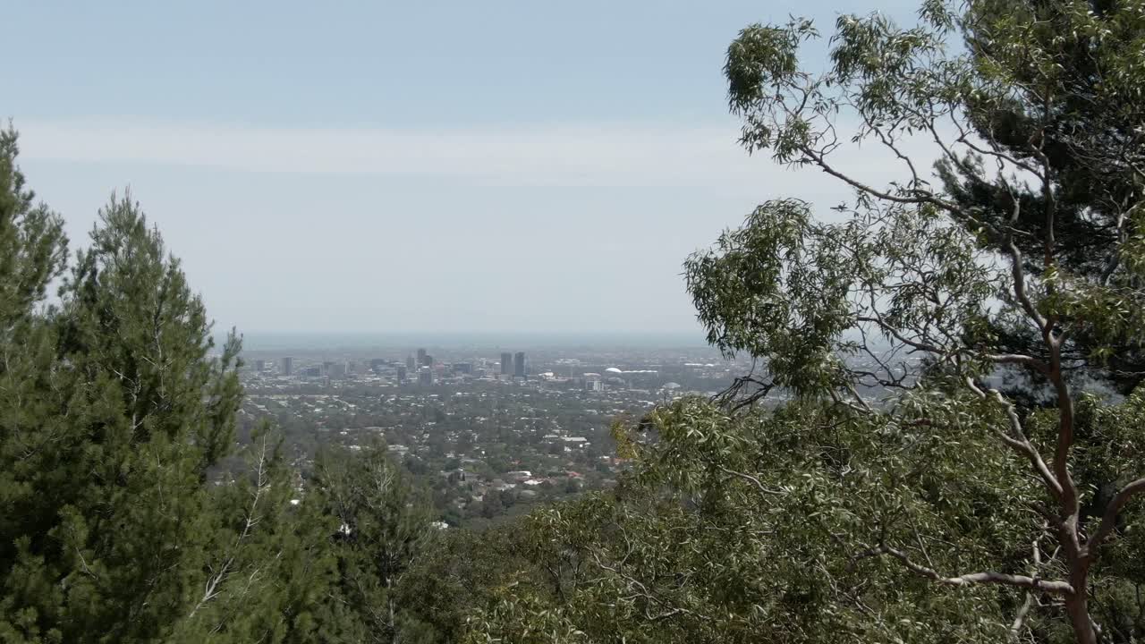 árboles de la colina que domina el paisaje de la ciudad de adelaide en australia