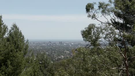 árboles de la colina que domina el paisaje de la ciudad de adelaide en australia