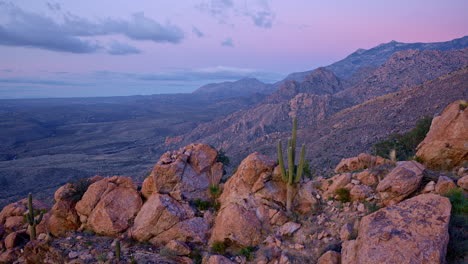 drone shot flying over saguaro cactus atop a mountain ledge in tucson arizona