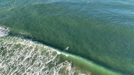 drone captures paddleboarder navigating waves at gold coast. clear skies, vibrant ocean, dynamic movement