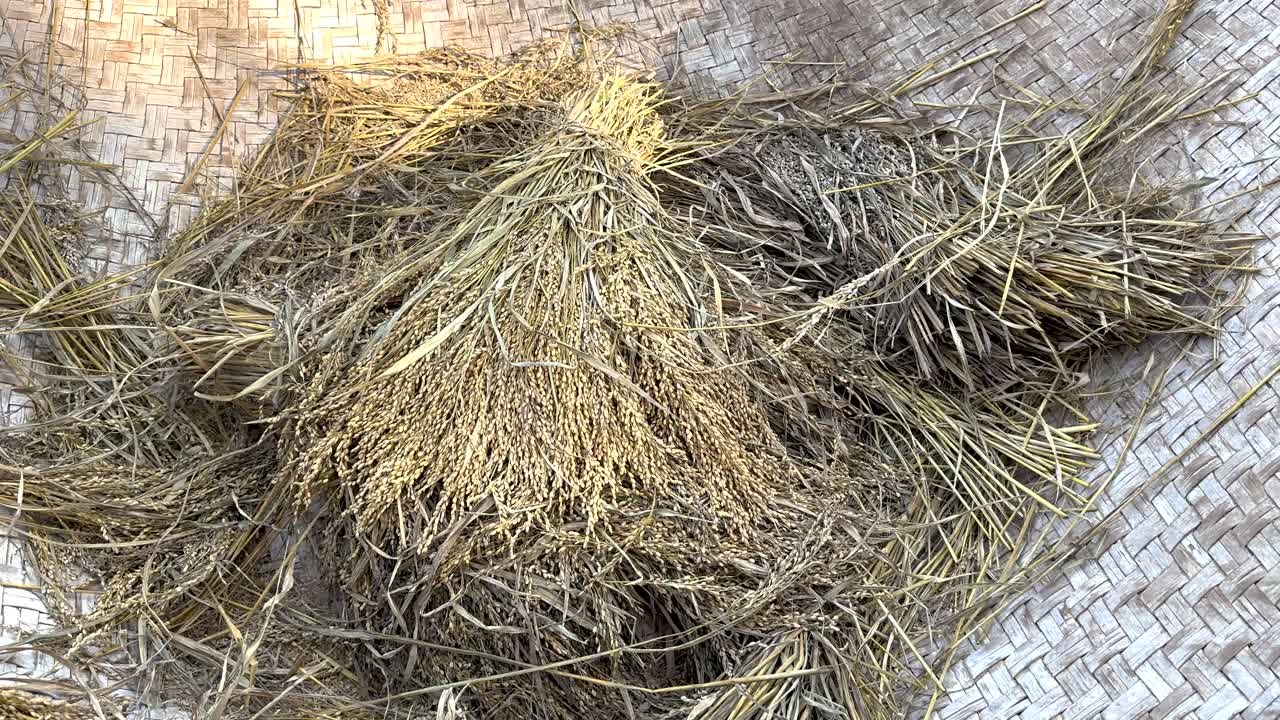 paquetes de granos de arroz en una alfombra tejida