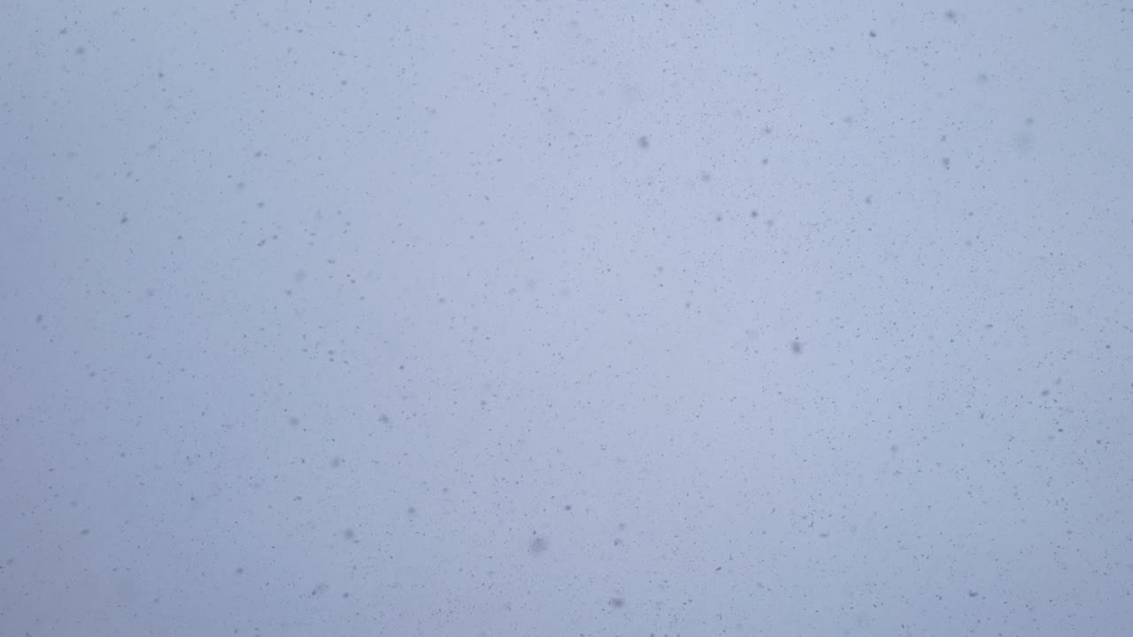 grandes copos de nieve caen contra un cielo brillante