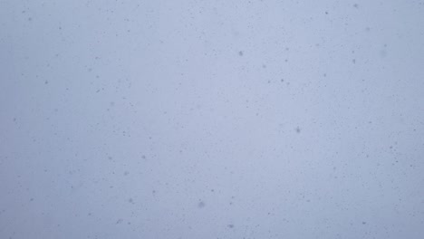 grandes copos de nieve caen contra un cielo brillante