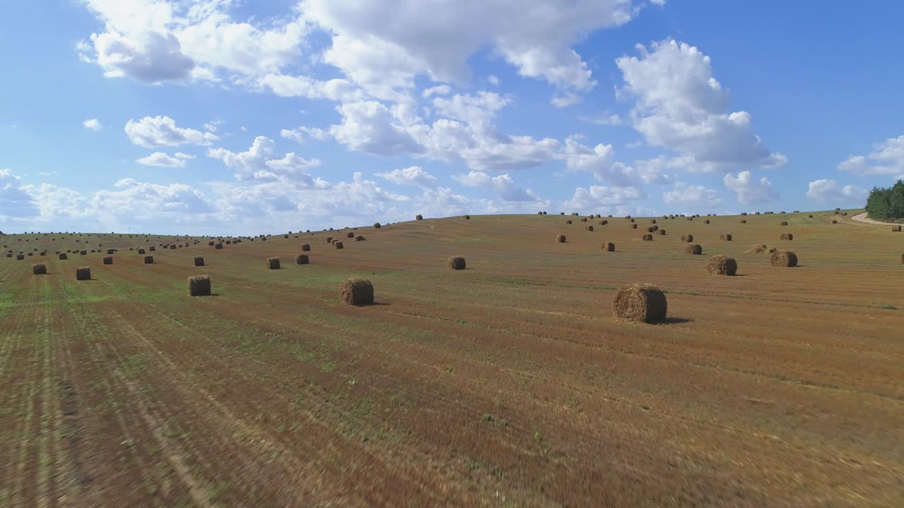 volando sobre un campo lleno de balas de paja.