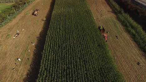 Tractor-Working-Field-In-Spring