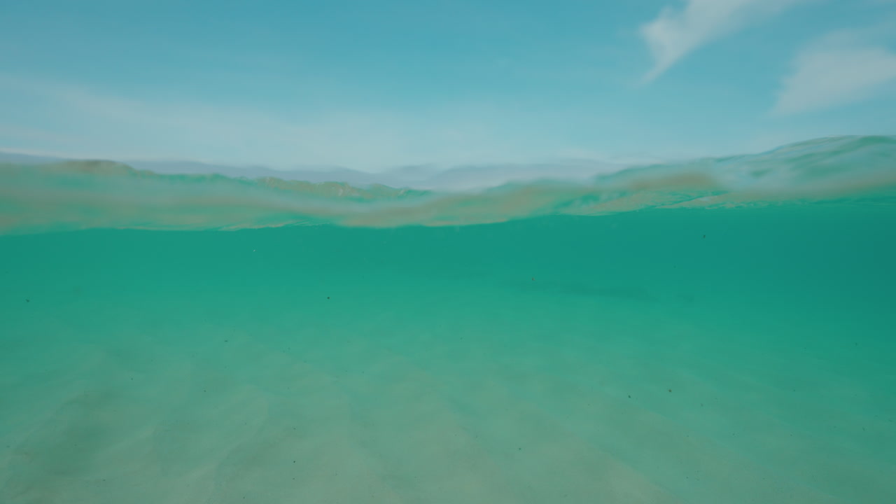 Underwater View of a Tropical Beach