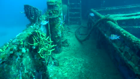 starboard companionway on shipwreck shakem