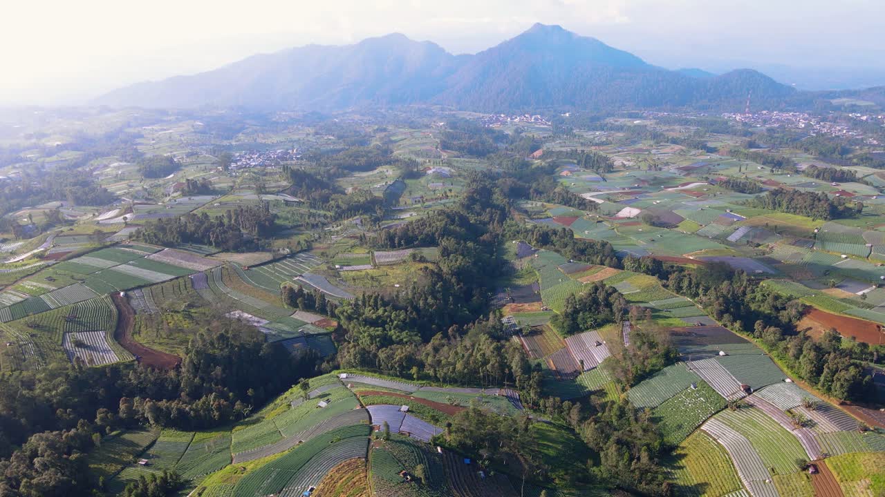 vista aérea del patrón colorido y hermoso de las plantaciones de hortalizas en java, indonesia