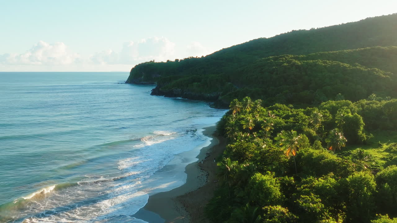 Drone flying above palm trees along a Guadeloupe beach at sunset, moving toward the coastal cliff