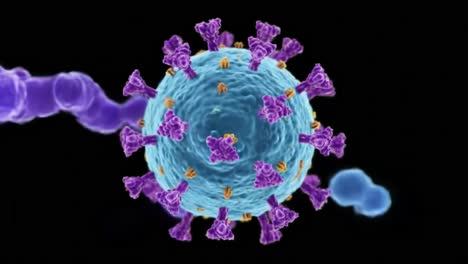 a detailed visualization of a virus particle, showcasing its structure and molecular components against a black background