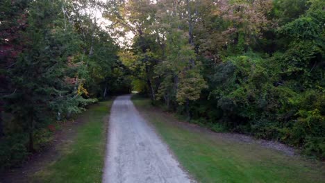 A-upwards-crane-shot-of-a-dirt-road-in-fall