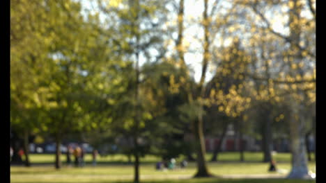 Blurred-view-of-people-walking