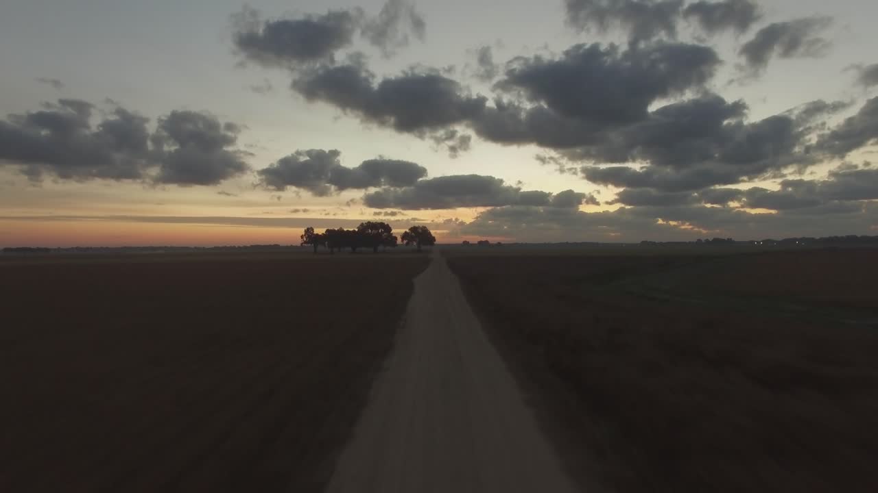 volando sobre el campo de hierba y el camino de tierra hacia un grupo de árboles en la granja del sur al amanecer