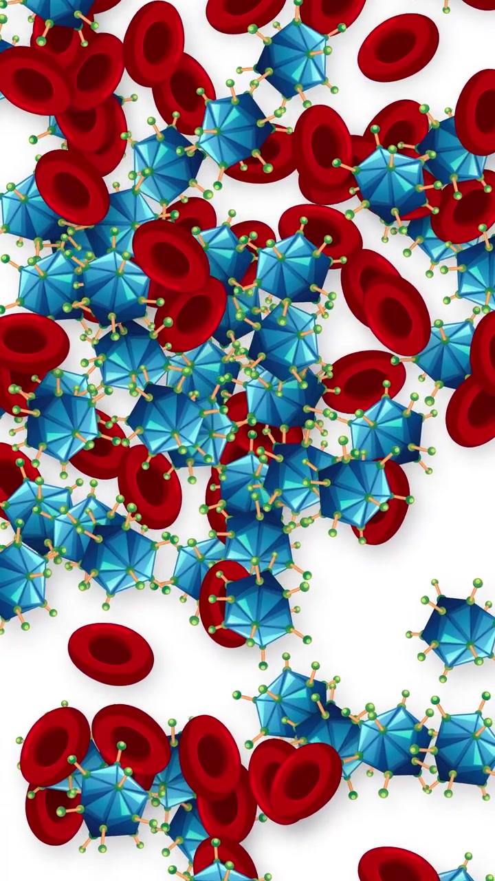 Vertical animation of red blood cells and blue virus particles falling against a white background.