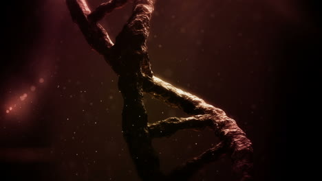 animación de cromosomas rojos en movimiento sobre un fondo negro