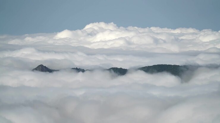 Aerial View of Mountain Peaks Emerging Above a Thick Sea of Clouds