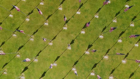 rising aerial view of over 50 american flags in rows