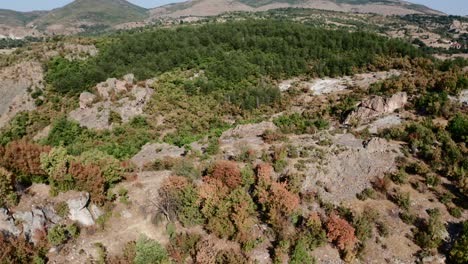 árboles de otoño en el santuario tracio de harman kaya en las montañas rodope, bulgaria