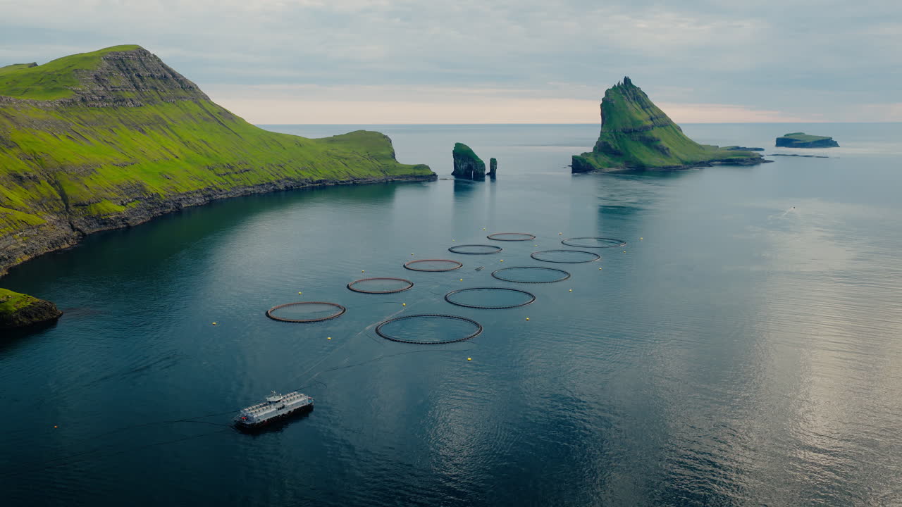 Aerial view of a fish farm with circular pens in a scenic bay surrounded by green islands and cliffs