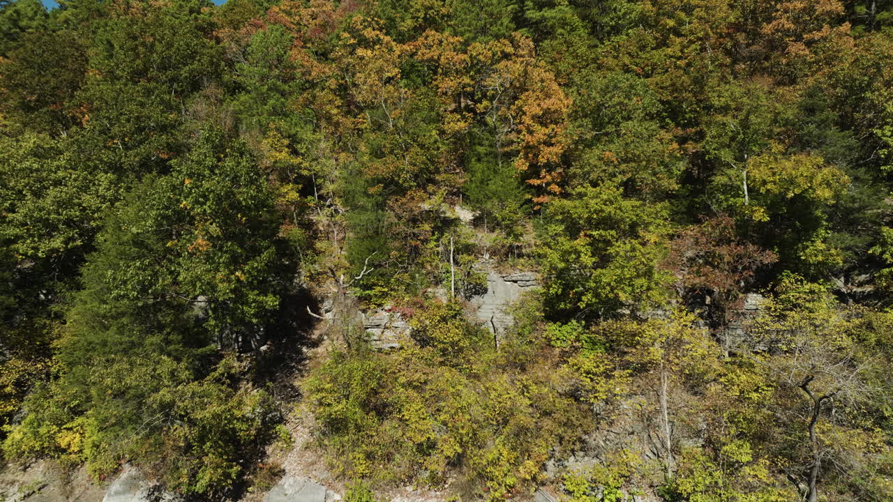 густый осенний лес в озере орла полые берега озера, воздушный полет вперед