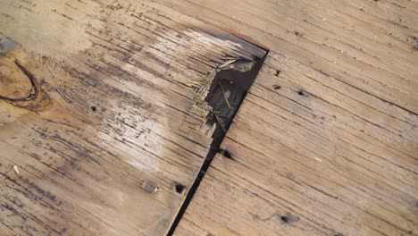 detailed view of rotted plywood showing water damage and decay on roof deck.