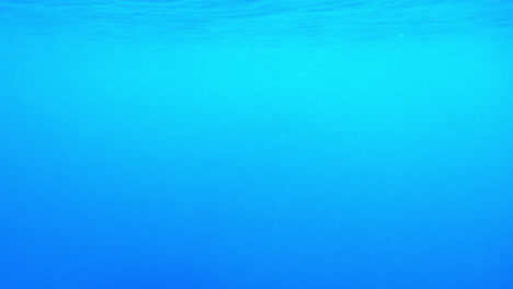 underwater scenery. sun beams from beneath the ocean surface in 4k. liight shafts vfx element background. diving vacation holidays.