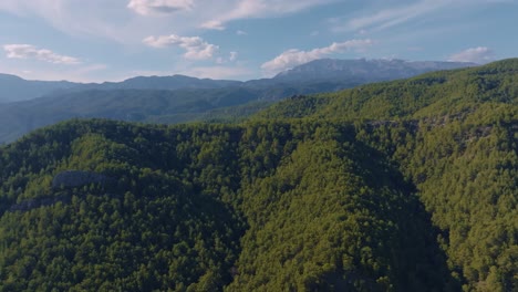 mountainous forest landscape