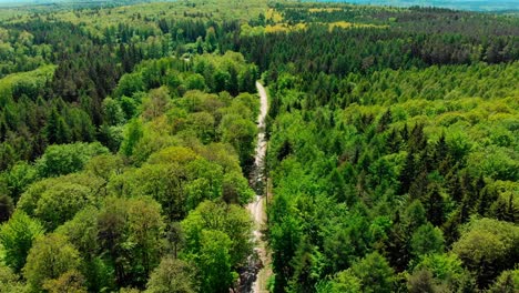 drone aerial flight over lush green summer forest and highway landscape