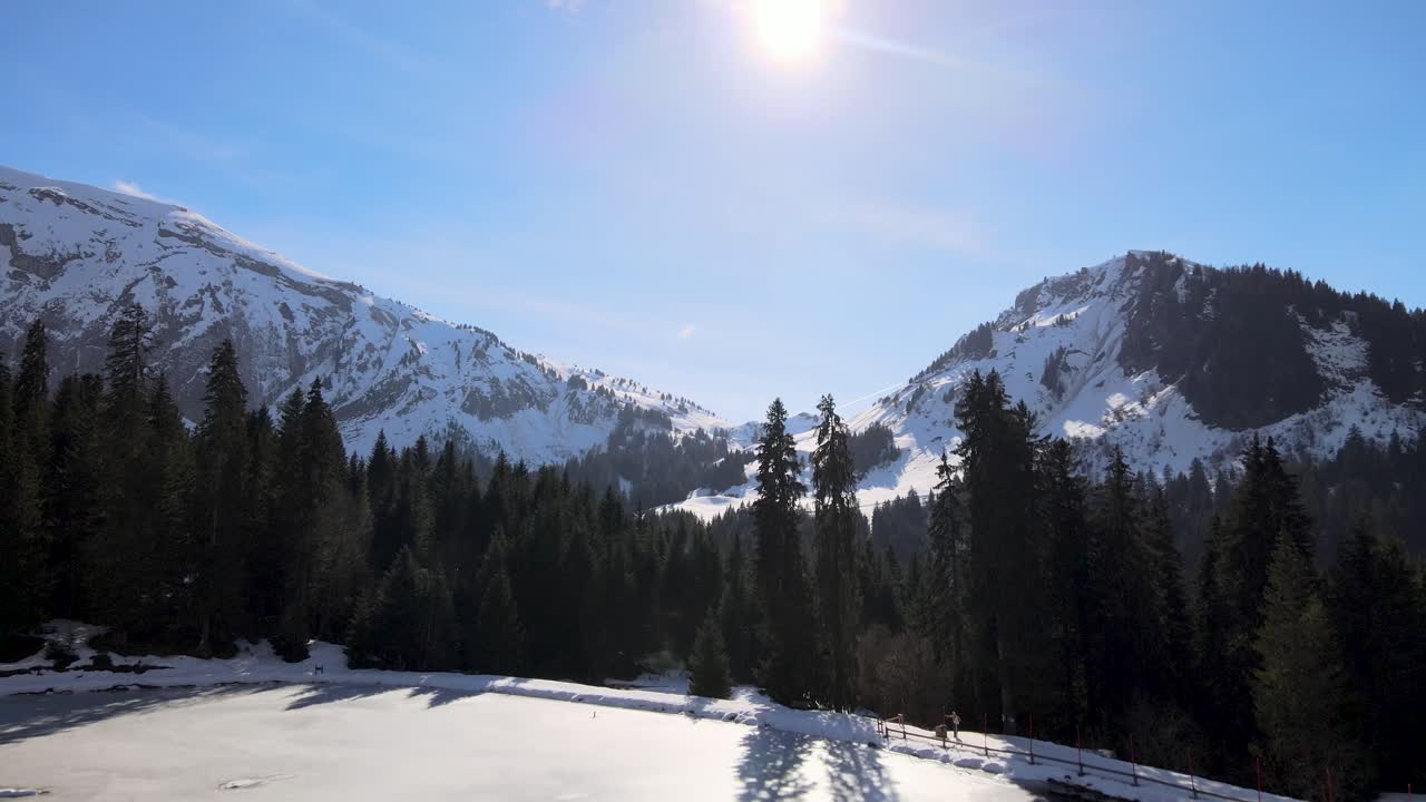montañas nevadas escondidas en el fondo de un bosque de pinos durante un día soleado con cielo azul
