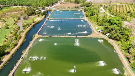 las imágenes de drones capturan estanques de camarones aerados en phuket, tailandia, mostrando técnicas de acuicultura y alrededores exuberantes bajo la luz del día.