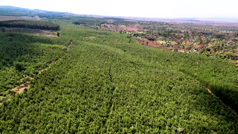 Drohnenansicht---Afrika-Wald---Afrika-Buschfeuer