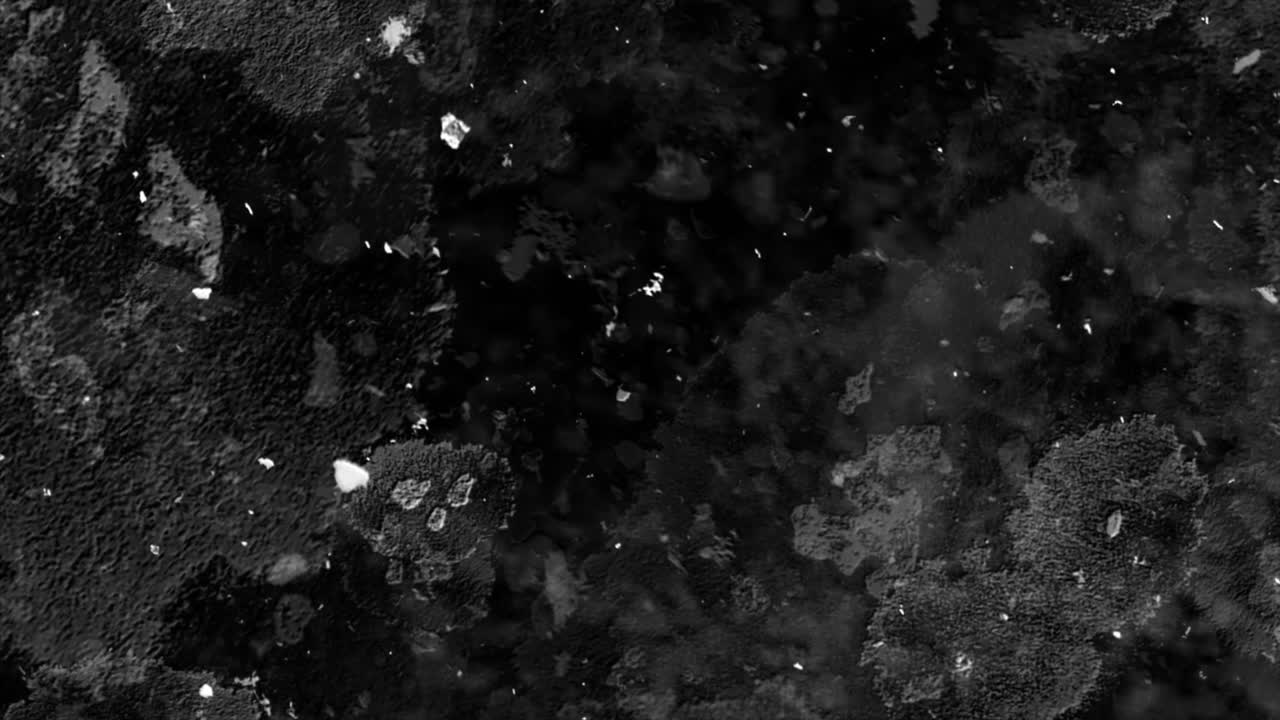 Abstract Black and White Particles Floating on Dark Background