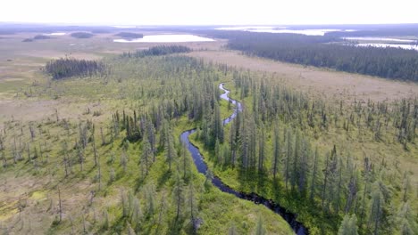 Expansive-Aerial-View-of-a-Narrow-Stream-Winding-Through-Canada's-Remote-Backcountry