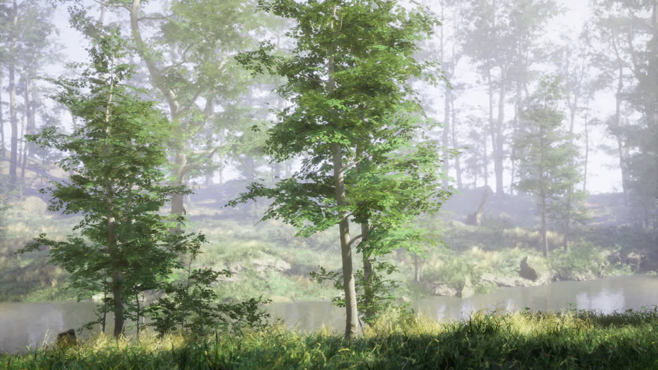 Scenic riverbank with green trees surrounded by misty nature landscape