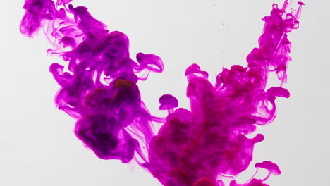 two-shots-of-dye-shooting-into-space-in-bright-vibrant-purple-pink,-liquid-art