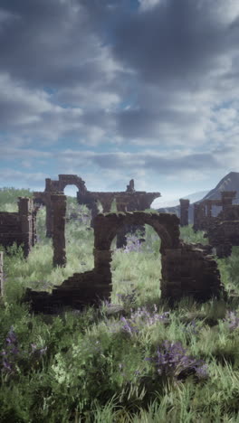 overgrown stone ruins in a grassy field