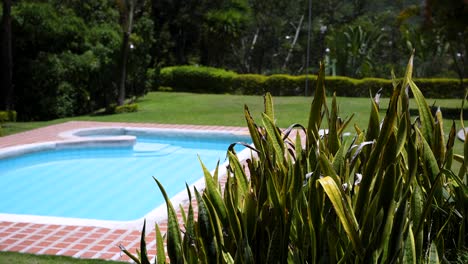 Swimmers-head-to-a-beautiful-pool-on-a-hot-and-sunny-summer-day