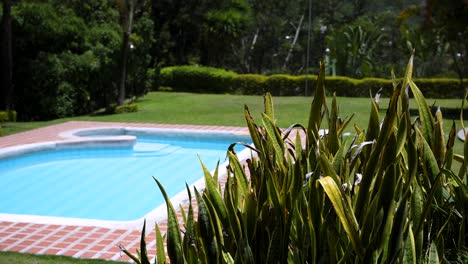 nadadores se dirigen a una hermosa piscina en un día caluroso y soleado de verano