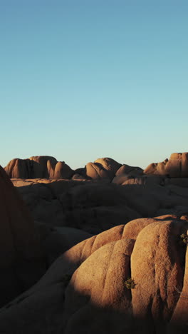 Joshua-Tree-National-Park,-California,-United-States-of-America-in-vertical