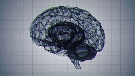 bucle sin interrupción de un cerebro d de estructura alámbrica estilizada