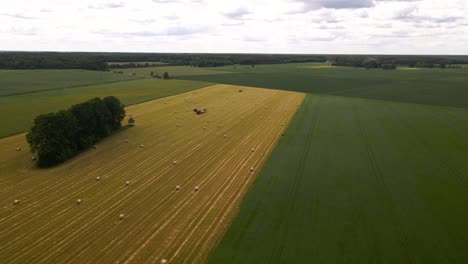 aerial-shot-of-a-tractor-working-with-a-cargo-truck-and-hay-rolls-in-a-plain-yellow-field,-tractor-putting-hay-rolls-on-the-cargo-trailer,-zooming-in