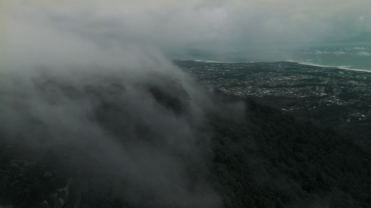 Drone aerial of dense forest and thick mist covering Illawarra Escarpment with mountain ridges, forest breathing above homes along coast
