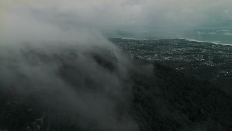 drone aerial of dense forest and thick mist covering illawarra escarpment with mountain ridges, forest breathing above homes along coast