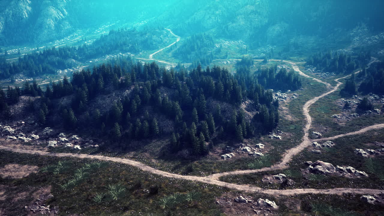 vista aérea de un paisaje forestal montañoso
