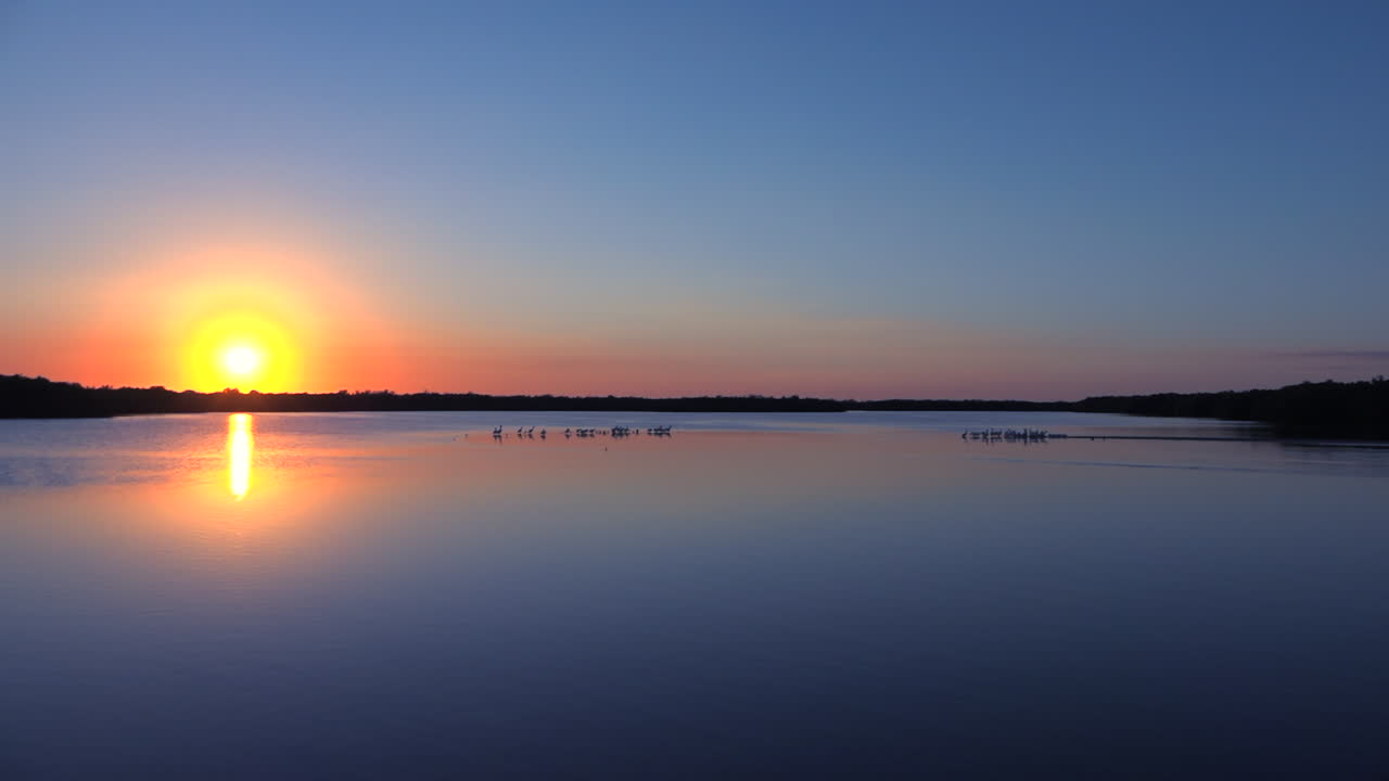 플로리다 해안 1의 습지를 따라 해질녘 도요 물떼새