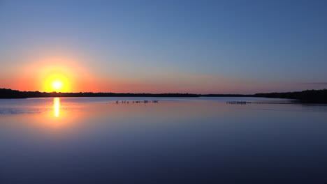 Las-Aves-Playeras-Al-Atardecer-A-Lo-Largo-De-Los-Humedales-De-La-Costa-De-Florida-1