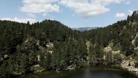 Luftaufnahme-Des-Abstiegs-Zum-Ende-Des-Sees,-Um-Einen-Besseren-Blick-Auf-Den-Wald-Zu-Erhalten-4k