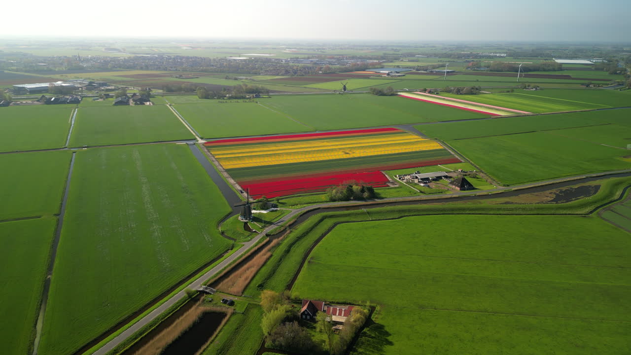 드론은 네덜란드 시골의 은 날에 다채로운 립  위에서 풍차를 향해 날아갑니다.