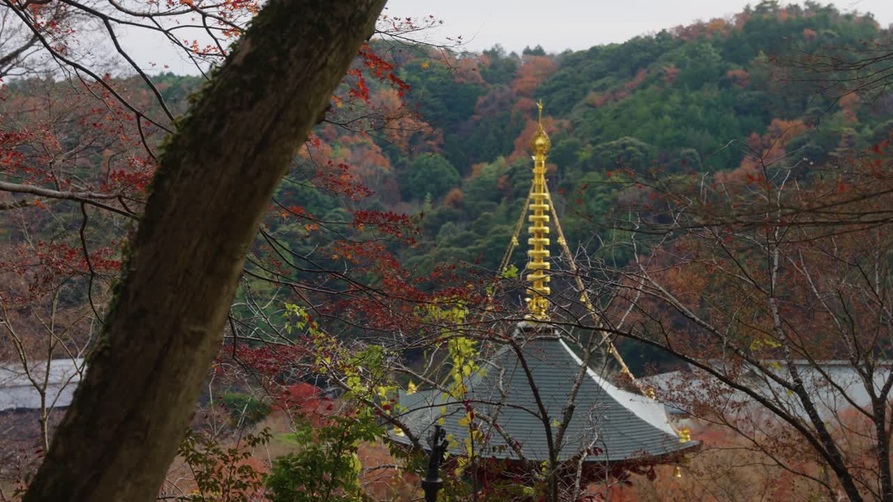 árboles de otoño y templo de la pagoda en katsuo-ji en minoh, osaka 4k
